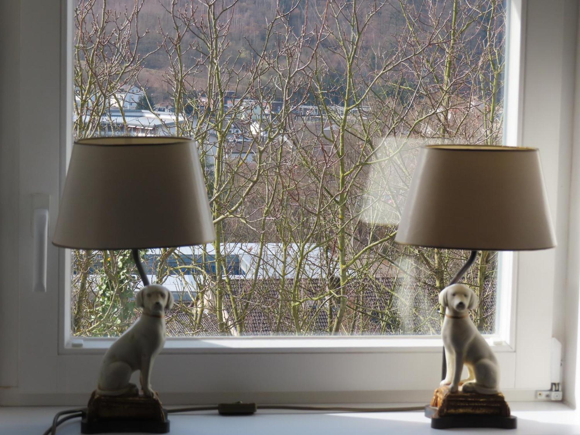 Appartamento Wohlfuehlen In Bad Ems Esterno foto